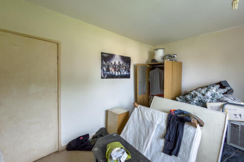 IMG 6611 T202510261902.jpg