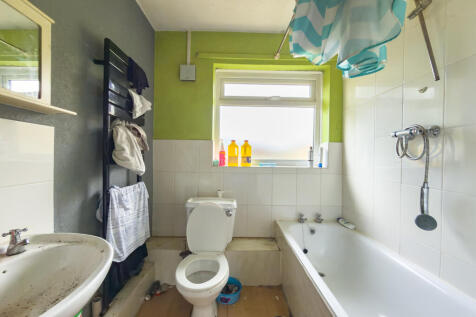 IMG 6613 T202510261902.jpg