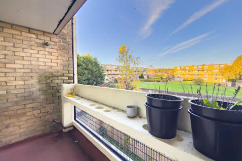 IMG 6765 T202510301004.jpg