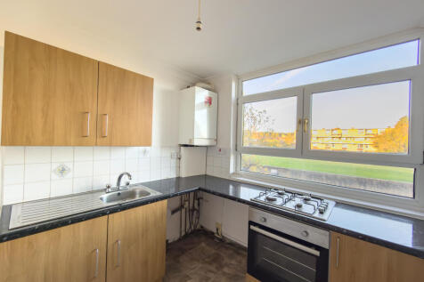 IMG 6759 T202510301004.jpg