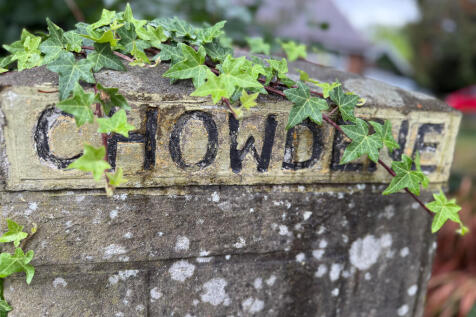 IMG 4169 T202509171429.jpg