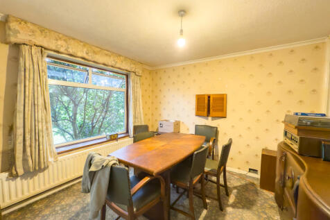 IMG 4119 T202509171429.jpg