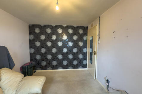 IMG 4135 T202509171429.jpg