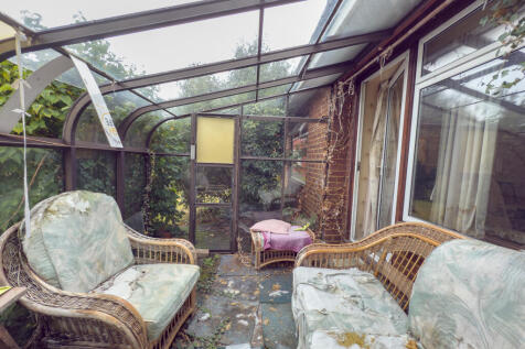 IMG 4131 T202509171429.jpg