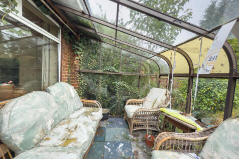 IMG 4129 T202509171429.jpg