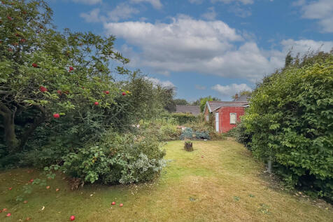 IMG 4159 T202509171429.jpg