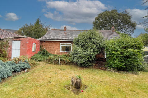 IMG 4163 T202509171429.jpg