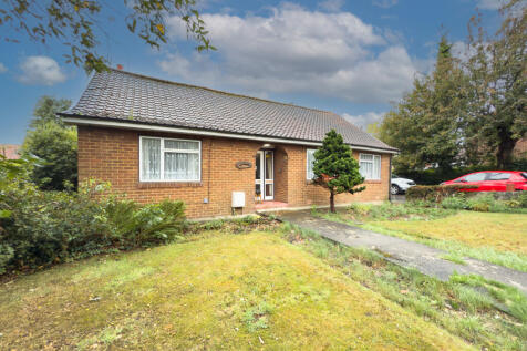 IMG 4170 T202509171429.jpg