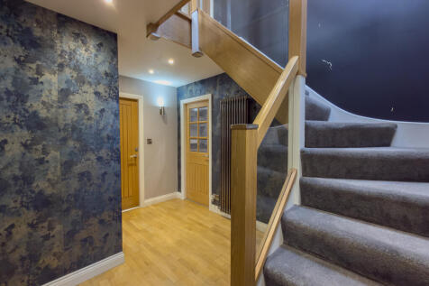 IMG 6246 T202510211442.jpg