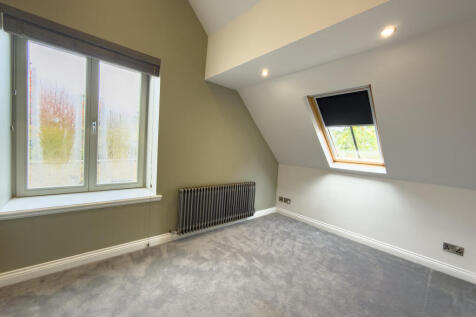 IMG 6255 T202510211442.jpg