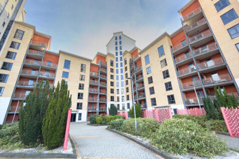 IMG 6592 2 T202510261837.jpg