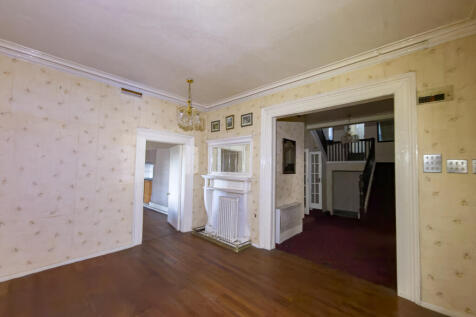 IMG 6420 2 T202510231701.jpg