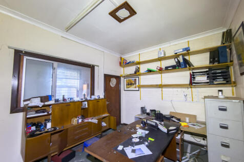 IMG 6436 2 T202510231701.jpg