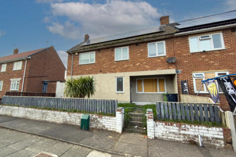 IMG 5831 T202510281043.jpg