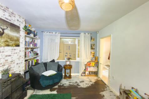 IMG 5874 T202510281043.jpg