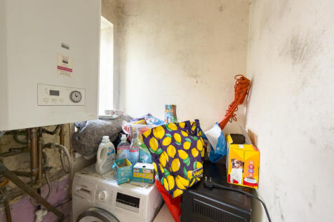 IMG 5848 T202510281043.jpg