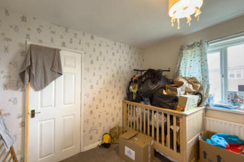 IMG 5864 T202510281043.jpg