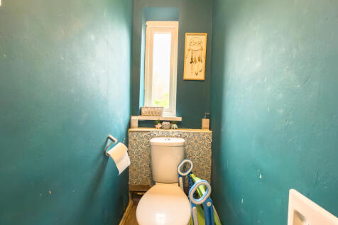 IMG 5843 T202510281043.jpg