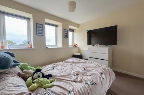 IMG 7116 T202510210947.jpg