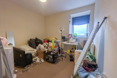 IMG 7113 T202510210947.jpg