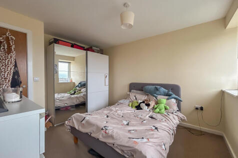 IMG 7118 T202510210947.jpg