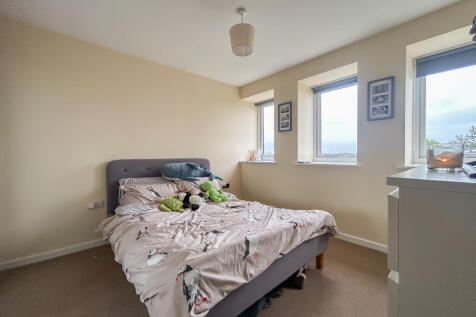 IMG 7117 T202510210947.jpg