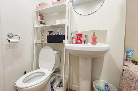 IMG 7121 T202510210947.jpg