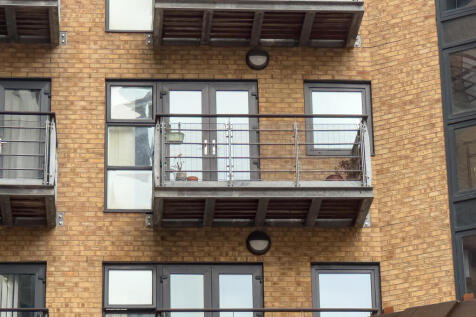 IMG 0286 T202510180818.jpg