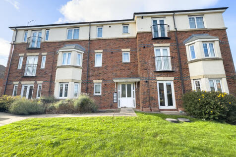 IMG 0237 T202510271353.jpg