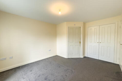 IMG 0252 T202510271353.jpg