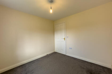 IMG 0247 T202510271353.jpg