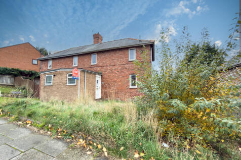 IMG 7040 4 T202511050959.jpg