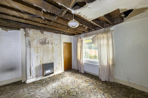 IMG 7056 4 T202511050959.jpg