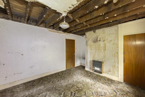 IMG 7058 4 T202511050959.jpg