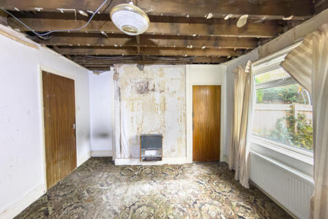 IMG 7057 4 T202511050959.jpg