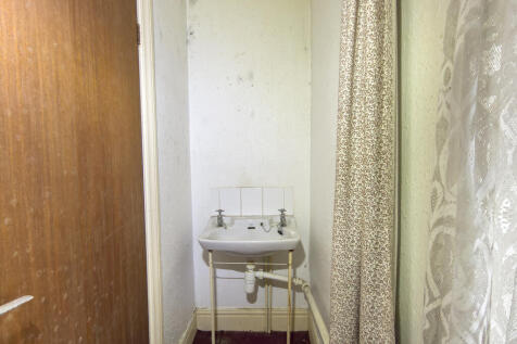 IMG 7065 4 T202511050959.jpg