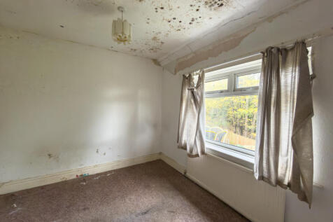 IMG 7066 4 T202511050959.jpg