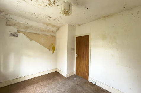 IMG 7068 4 T202511050959.jpg