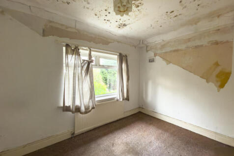 IMG 7069 4 T202511050959.jpg