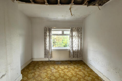 IMG 7075 4 T202511050959.jpg