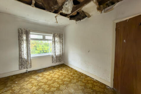 IMG 7074 4 T202511050959.jpg