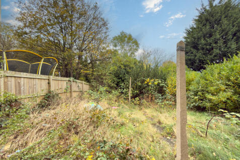 IMG 7047 4 T202511050959.jpg