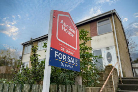 IMG 7276 T202511061714.jpg