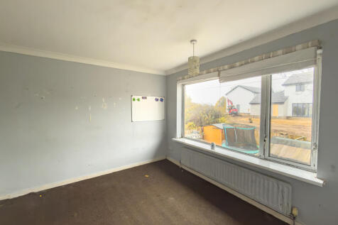 IMG 7295 T202511061714.jpg