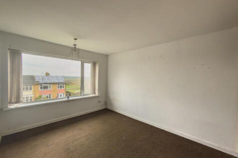 IMG 7299 T202511061714.jpg