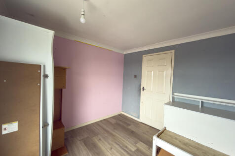 IMG 7306 T202511061714.jpg