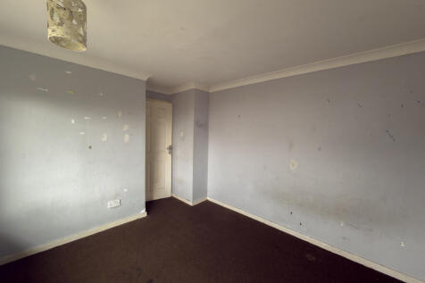 IMG 7297 T202511061714.jpg