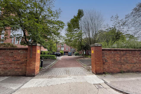 IMG 2585 T202511111920.jpg