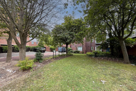 IMG 2589 T202511111920.jpg