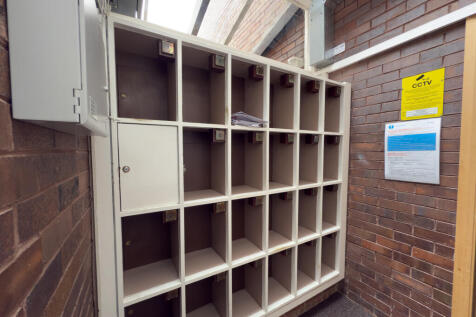 IMG 2581 T202511111920.jpg